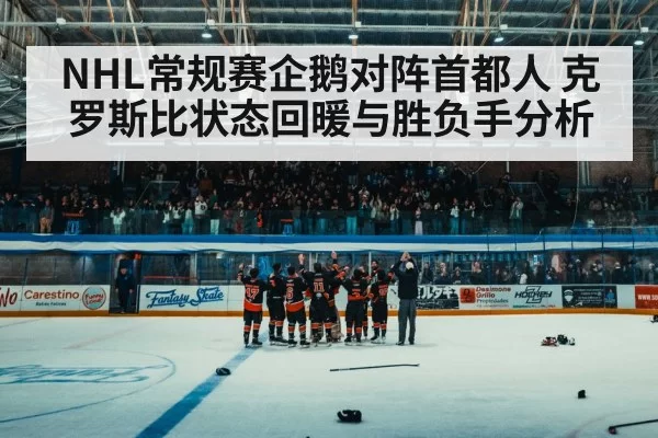 ice hockey arena crowd
