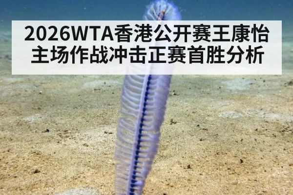 2026WTA香港公开赛王康怡主场作战冲击正赛首胜分析